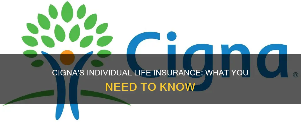 does cigna do individual life insurance