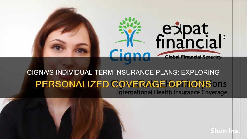 does cigna do individual term insurance