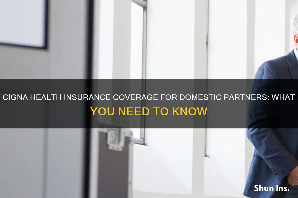 does cigna health insurance cover domestic partners