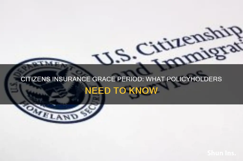 does citizens insurance have a grace period