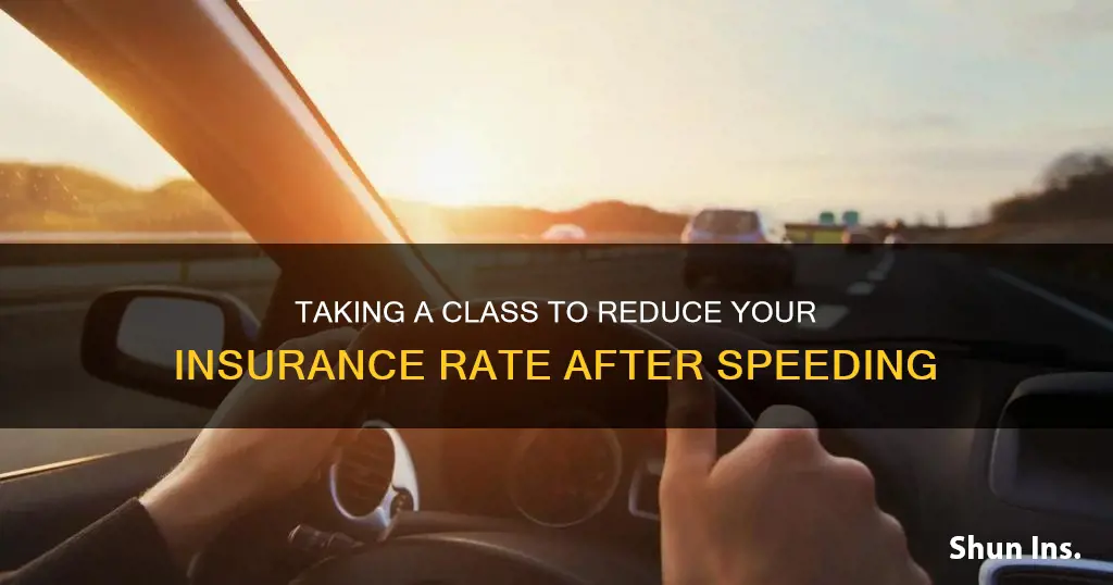 does class reduce insurance rate speeding
