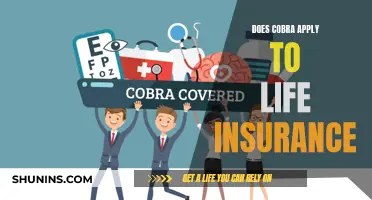 Understanding COBRA: Life Insurance Coverage and Benefits