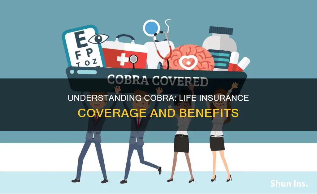 does cobra apply to life insurance