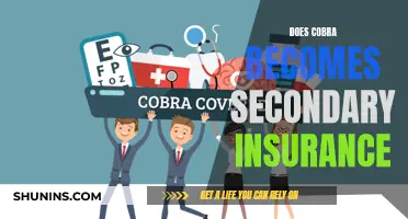 Understanding Cobra: A Secondary Insurance Option