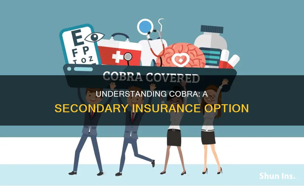 does cobra becomes secondary insurance