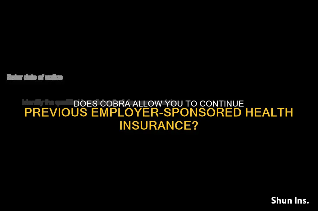 does cobra continue with insurance you had before