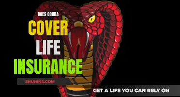 Cobra Coverage: Life Insurance Benefits Explained