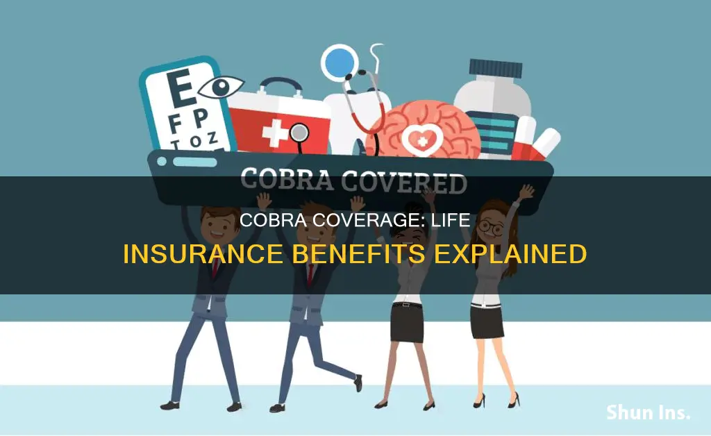 does cobra cover life insurance