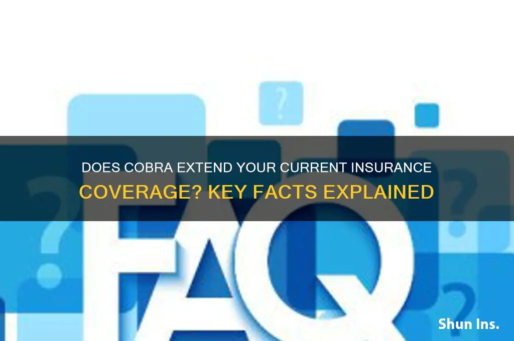 does cobra extend your current insurance