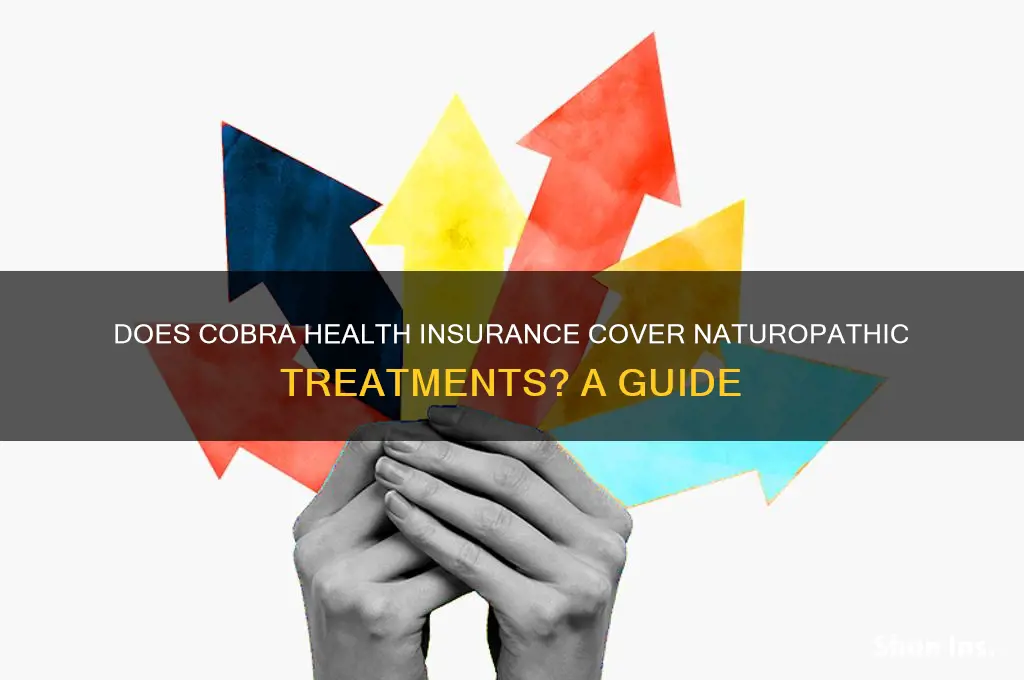 does cobra health insurance cover naturopaths