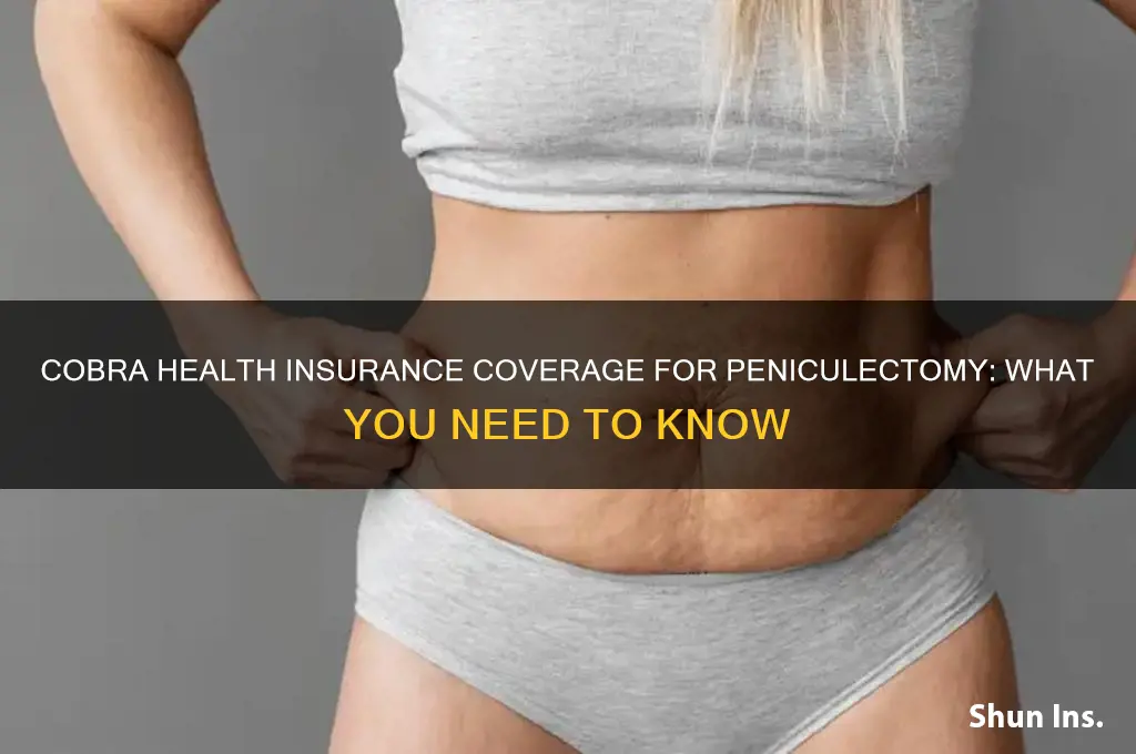 does cobra health insurance cover peniculectomy