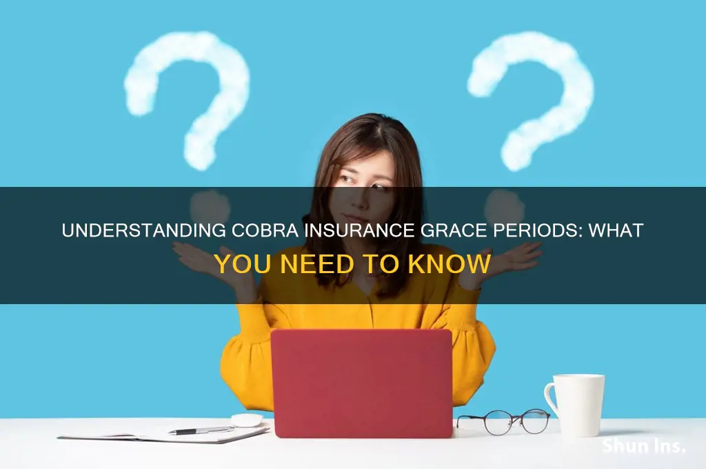 does cobra insurance allow a grace period