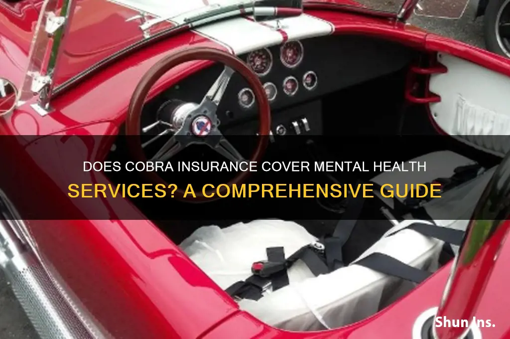 does cobra insurance cover mental health