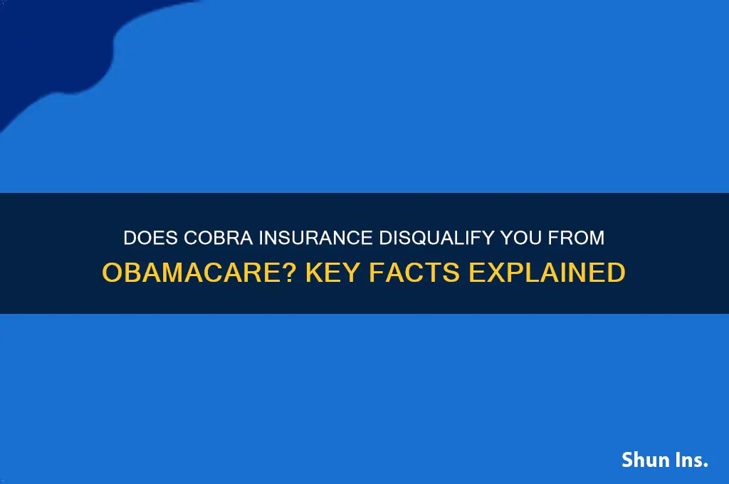 does cobra insurance disqualify you from obamacare