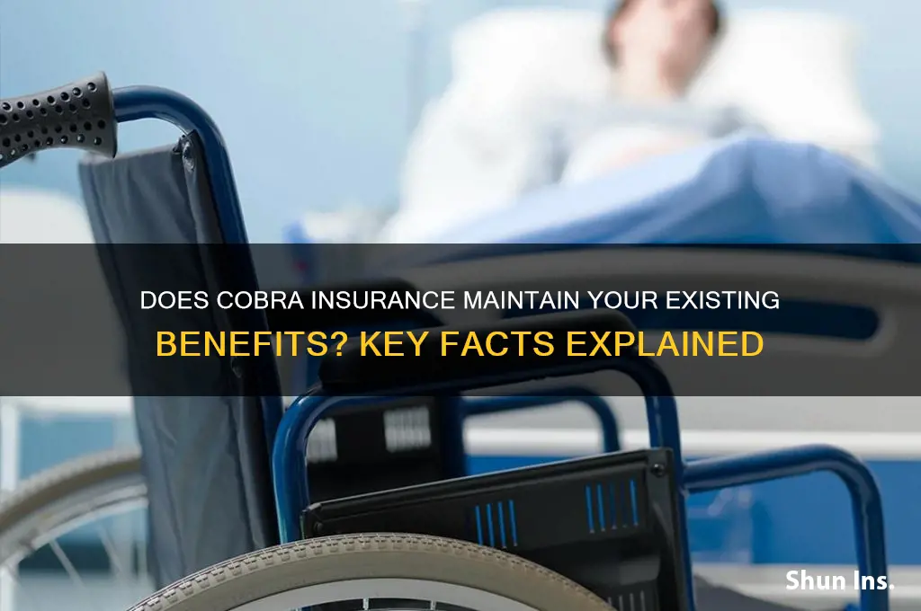 does cobra insurance keep my same benefits