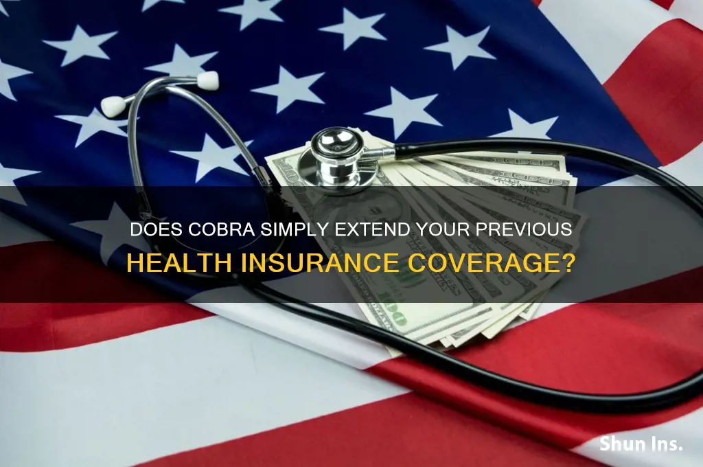 does cobra just continue your old health insurance