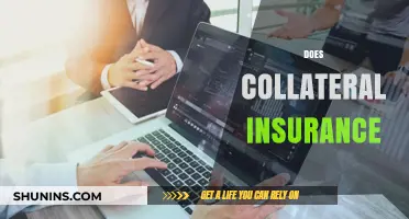 Understanding Collateral Insurance: Benefits, Risks, and Coverage Explained