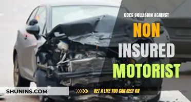 Uninsured Motorist Collision: Risks, Coverage, and Protection Explained