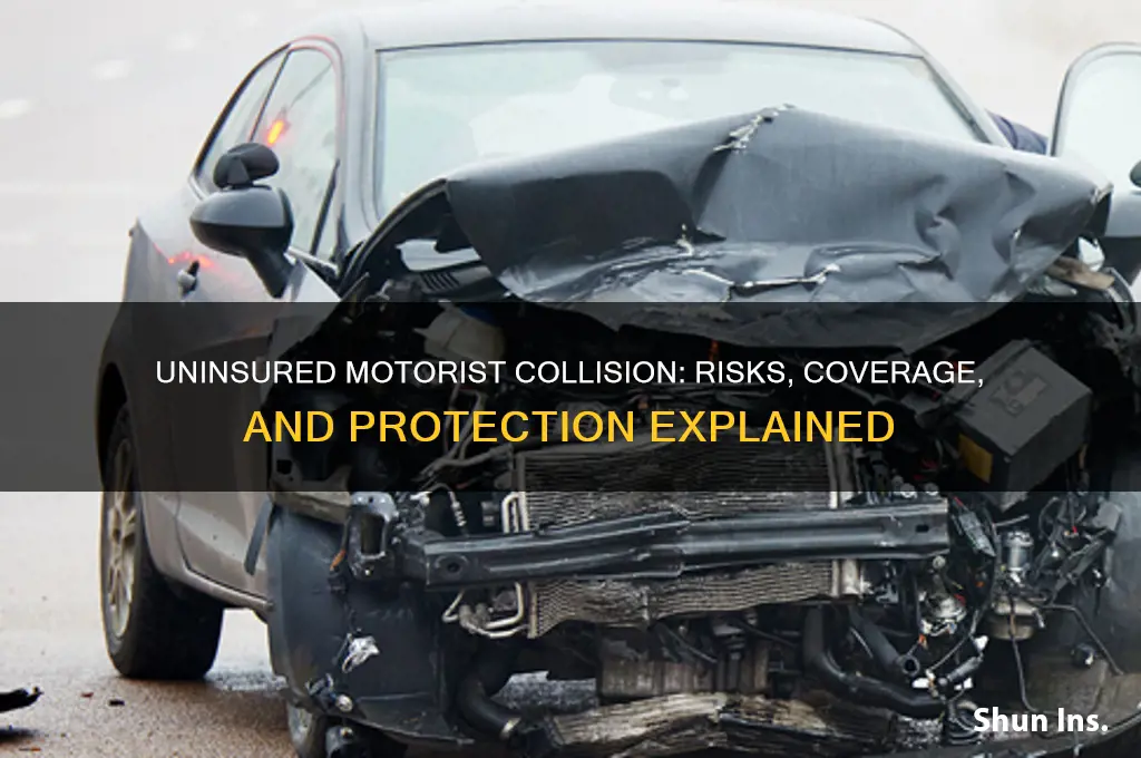 does collision against non insured motorist