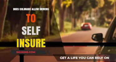 Can Colorado Drivers Self-Insure? Understanding State Insurance Requirements