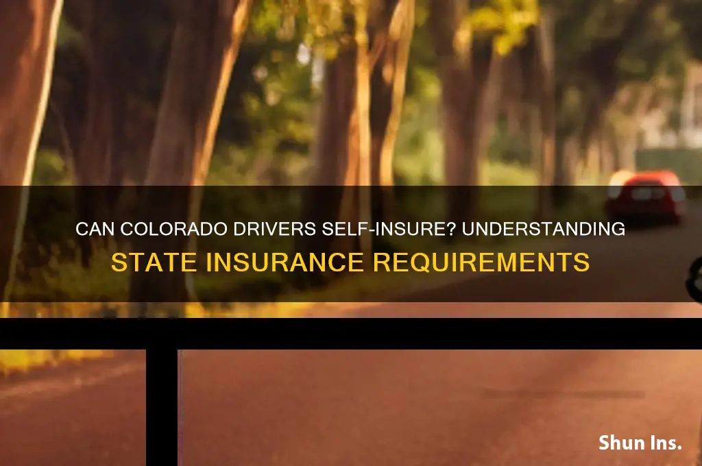 does colorado allow drivers to self insure