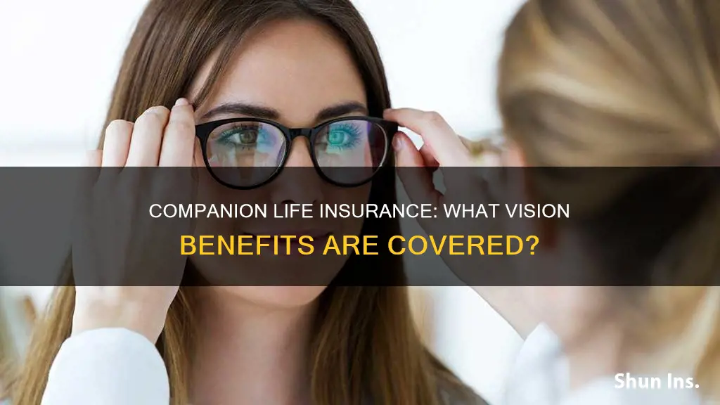 does companion life insurance cover vision