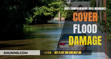 Comprehensive Auto Insurance: Does it Cover Flood Damage?