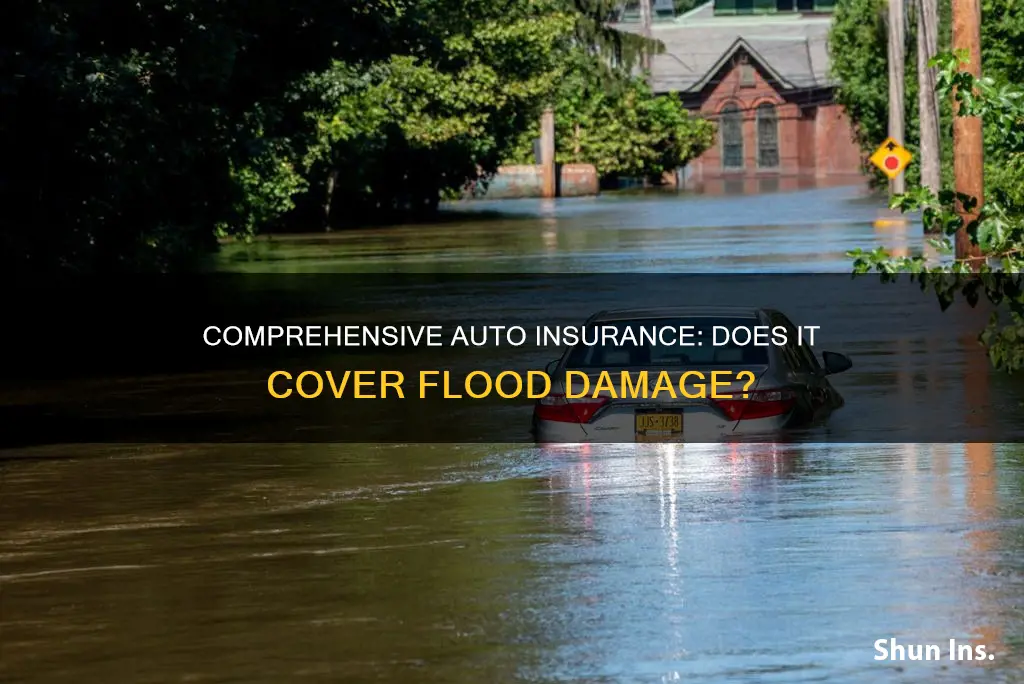 does comprehensive auto insurance cover flood damage