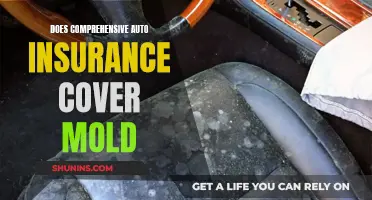 Comprehensive Auto Insurance: Mold Protection Included?