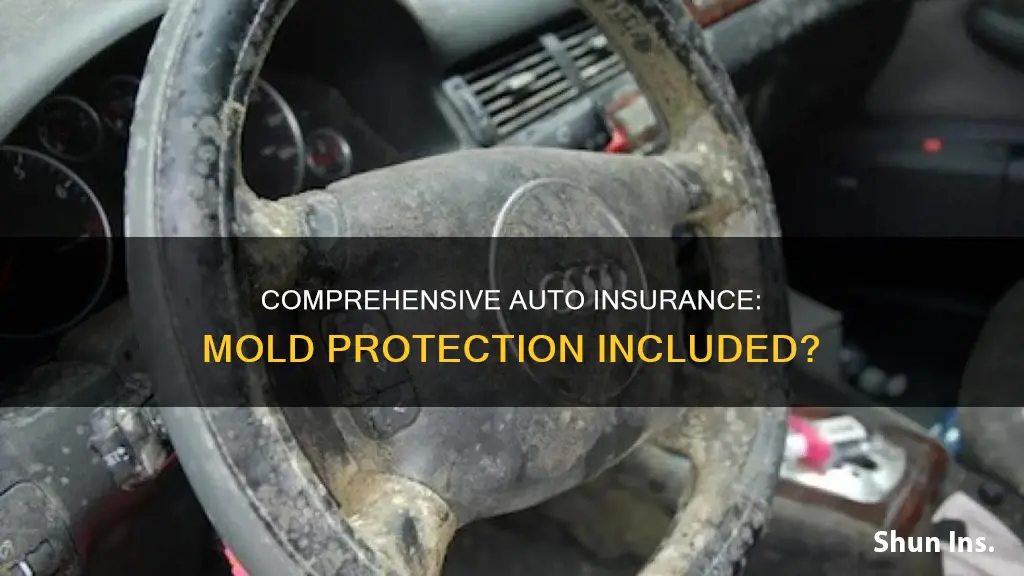 does comprehensive auto insurance cover mold