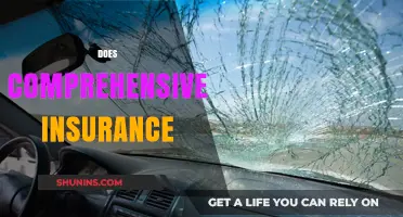 Does Comprehensive Insurance Cover All Your Vehicle Needs?