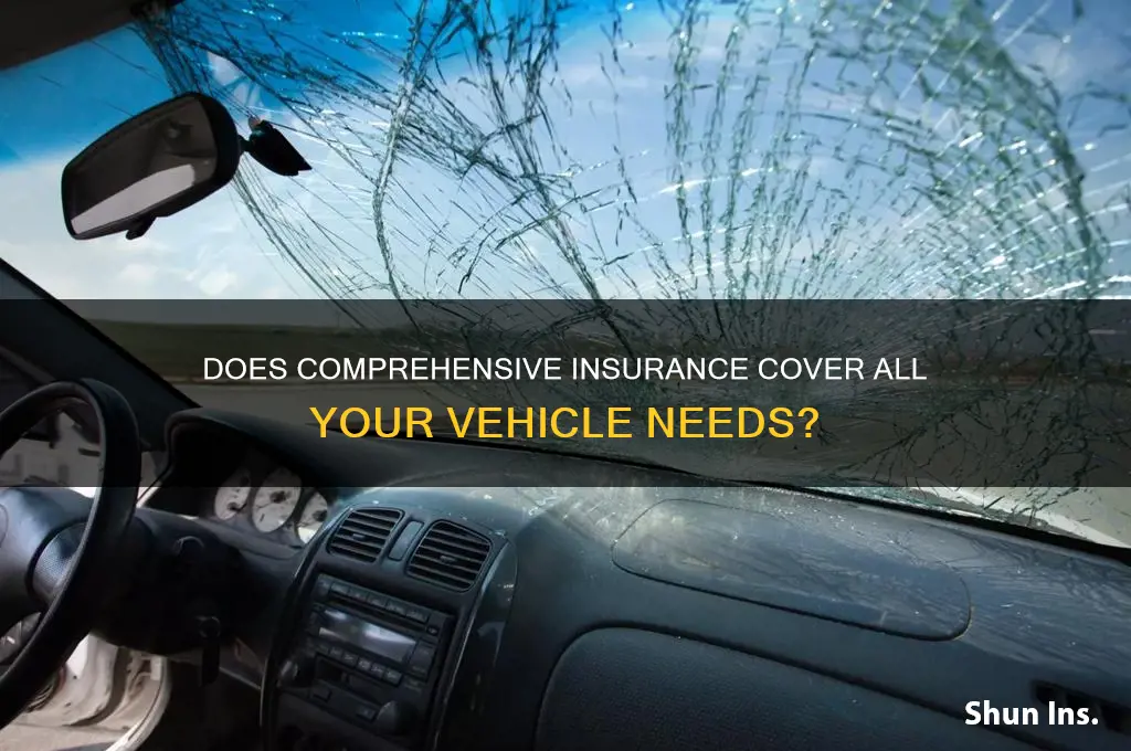 does comprehensive insurance