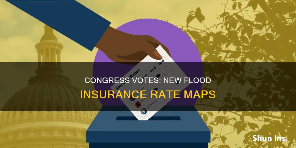 does congress vote on new flood insurance rate maps