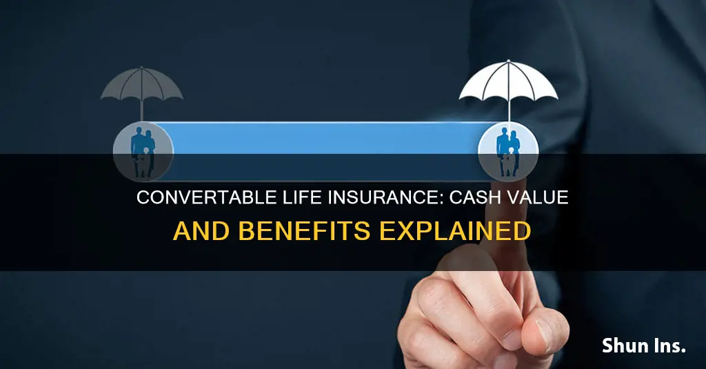 does convertable life insurance have cash value