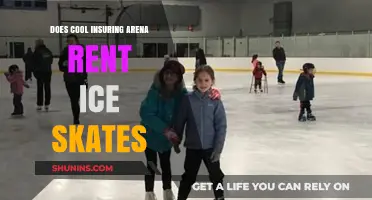 Cool Insuring Arena: Ice Skate Rentals Available for Visitors?