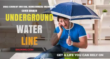 Country Mutual Insurance: What's Covered for Underground Water Line Break?