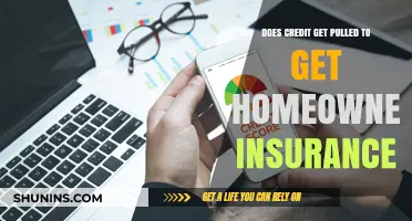 Credit Checks: Homeowner Insurance Policies and Your Credit Score