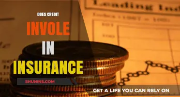 Does Credit Impact Insurance Premiums? Understanding the Connection