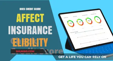 Credit Score: Insurance Eligibility Factor