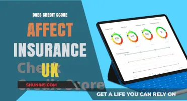 Credit Score Impact on UK Insurance Rates