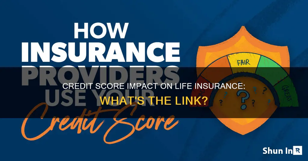 does credit score affect life insurance