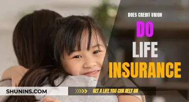 Credit Union Life Insurance: What You Need to Know