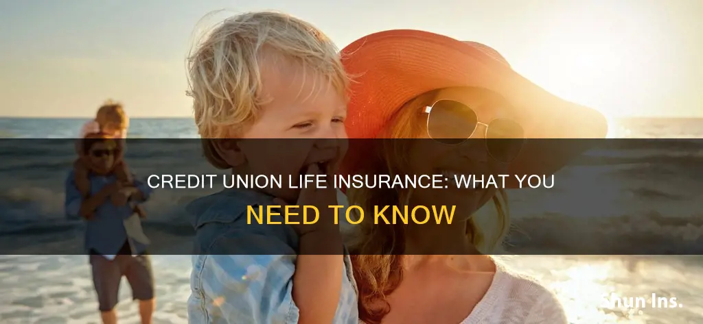 does credit union do life insurance