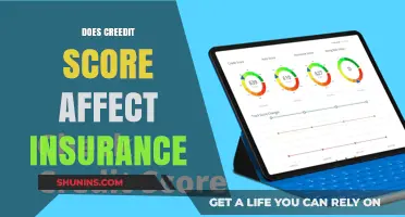 Credit Score Impact: Insurance Costs and Coverage