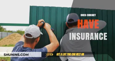 Cricket Insurance: Coverage, Benefits, and Why It's Essential for Players