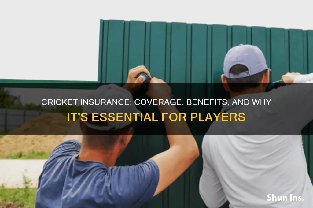 does cricket have insurance