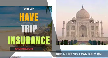 Does CSP Include Trip Insurance? Understanding Your Coverage Options