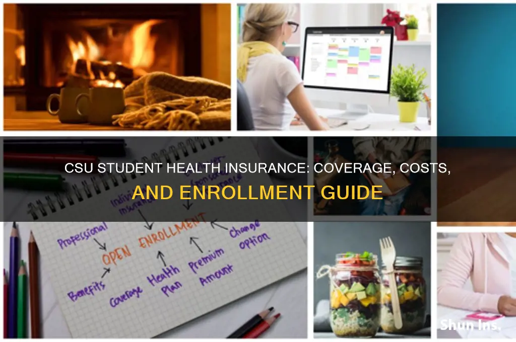does csu have health insurance for students