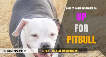 Pitbull Owners: Beware of CT Home Insurance Hikes