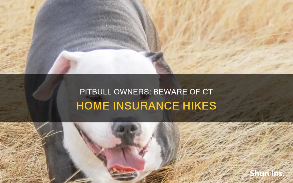 does ct house insurance go up for pitbull